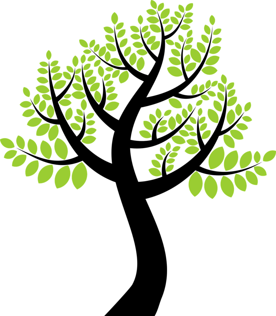 floral, forest, green-1295662.jpg